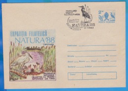 Bog With Birds ROMANIA Postal Stationery Cover 1988 - Storchenvögel