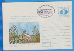 Pelicans,  Birds ROMANIA Postal Stationery Cover 1991 - Pelikanen