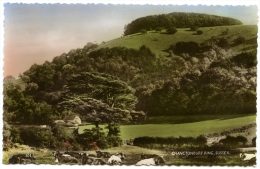 CHANCTONBURY RING - Worthing