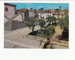 Portugal Cor 25213  - ALMEIDA - JARDIM PÚBLICO - COSTUMES BURRO DONKEY ANE - Bragança