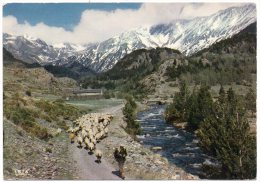 CP, LES PYRENEES, Citation De LAMARTINE, écrite, Voyagé En 1977, Editions Modernes Theojac - Midi-Pyrénées