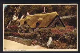 RB 948 - Nice Coloured Postcard - Old Maids Thatched Cottage Lee Near Ilfracombe - Devon - Ilfracombe