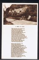 RB 948 - Poem Poetry Postcard - Old Maids Thatched Cottage Lee Near Ilfracombe - Devon - Ilfracombe