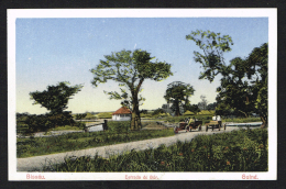 BISSAU (Guine Guinea) - Estrada De Bor - Guinea-Bissau