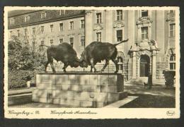 EAST  PRUSSIA , KÖNIGSBERG  , KALININGRAD  IN RUSSIA  KÄMFENDE AUEROCHSEN ,  BISON   , OLD POSTCARD, O - Ostpreussen