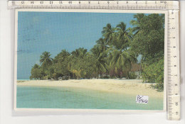 PO1406C# MALDIVE - SPIAAGGIA  VG  1989 - Maldives