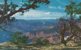 Grand Canyon National Park  Arizona   # 02343 - Grand Canyon