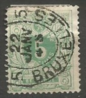 45  Obl  BXL - 1869-1888 Leone Coricato