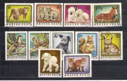 Lot 55 Hungary  Fauna 11 Different - Andere & Zonder Classificatie