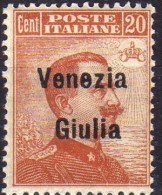 1918 Venezia Giulia - F.lli Italiani Del 1901-18 Soprastampati 'Venezia Giulia' 20 C - Vénétie Julienne