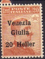 1919 Venezia Giulia - F.lli Italiani Del 1906-17 Soprastampati ´Venezia Giulia´ 20 H Su 20 C - Venezia Giulia