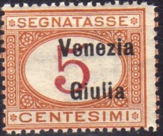 1918 Venezia Giulia - Segnatasse F.lli Italiani Del 1890-1903 Soprastampati ´Venezia Giulia´ 5 C - Venezia Giulia