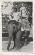 PAKISTAN - éléphant (animé) - D16 - Pakistan