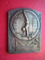 BELLE PLAQUE / MEDAILLE  BRONZE SIGNEE C CHARL  SPORT / SPORTIVE GYMNASTIQUE - Professionals / Firms