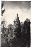CP, 77, CHAUMES EN BRIE, Ruines Du Château Du Vivier, écrite - Autres & Non Classés