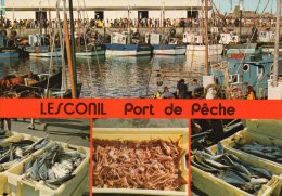 Lesconil Activité Au Port De Pêche Port De Pêche - Lesconil