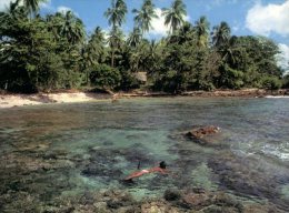 (309) Papua New Guinea - Papaousie Nouvelle Guinée - Diving - Papoea-Nieuw-Guinea