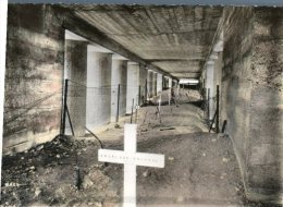 (110) France - Douaumont Tranchée Des Baïonnettes - Cimetières Militaires