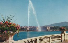 Cp , SUISSE , GENÈVE , Le Jet D'Eau (130 M.) - Genève