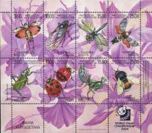 MD0807 Kyrgyzstan 2004 Insect Ladybug Bees S/S(8) MNH - Kirgisistan