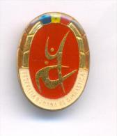 GYMNASTICS /. ROMANIAN GYMNASTICS FEDERATION , Scarce Pin Badge. - Gymnastiek