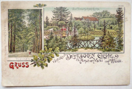 Cpa GRUSS Varel Im Walde Litho Chromo Illustrateur Almers N° 297 Gruss Von Der Deutschen Eiche Et Grosse Allée - Varel