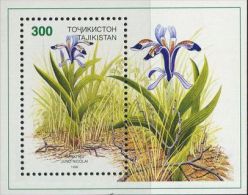 MD0803 Tadjikistan 1998 Alpine Flowers M MNH - Tadzjikistan