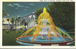 Cp Amérique Du Nord  USA OH Ohio Night View Of Fountain BUCKEYE LAKE PARK  Parc D'attraction Manège Forain Super 8 Tir - Otros & Sin Clasificación