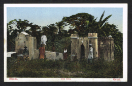 GUINE BISSAU Portuguesa (Guinea Bissau) - Uma Fonte - Guinea-Bissau