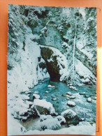 V09-39--25-mouthe--la Source Du Doubs En Hiver-- - Mouthe