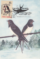 BIRDS, SWALLOWS, CM, MAXICARD, CARTES MAXIMUM, 1993, ROMANIA - Swallows