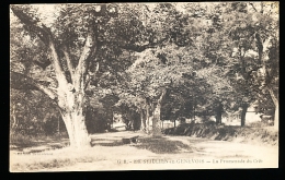 74 SAINT JULIEN EN GENEVOIS / La Promenade Du Crêt / - Saint-Julien-en-Genevois