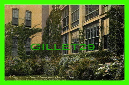 DAYTON, OH - A CORNER IN SHRUBBERY & BOSTON IVY - NATIONAL CASH REGISTER WORKS - TRAVEL IN 1919 - - Dayton