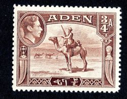 3305x)  Aden 1939 - SG# 17 ~ Sc# 17  M* - Aden (1854-1963)