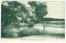 "Cayenne - Tableau D'un Petit Coin De Nos Rivages" - Cayenne