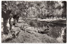 CP, 79, LA VENISE VERTE, Pêche Et Pâturage En Plein Coeur Du Marais, écrite, - Autres & Non Classés