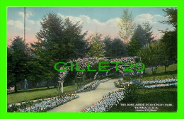 TACOMA, WA - THE ROSE ARBOR IN Mc KINLEY PARK - PHOTO BY F. H. NOWELL - LOWMAN & HANFORD CO - - Tacoma