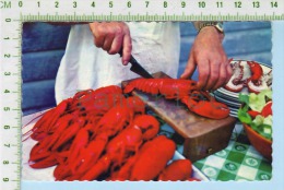 New Brunswick ( Préparation Du Homard Preparing Lobster) Post Card Carte Postale 2 Scans - Andere & Zonder Classificatie