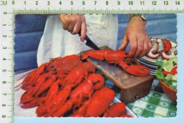 New Brunswick  Used In 1975 ( Préparation Du Homard Preparing Lobster) Post Card Carte Postale 2 Scans - Other & Unclassified