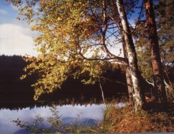 (642) Belarus - Lake - Belarus