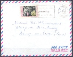 Lettre Cachet  COTONOU Dahomey   Le 31 1 1959   Timbre SEUL Sur LETTRE  A.O.F 20f La Banane  Pour MEUNG S LOIRE - Briefe U. Dokumente