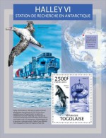 Togo. 2013 Antarctic Research. (307b) - Baleines