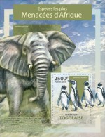 Togo. 2013 Most Endangered Species In Africa. (311b) - Penguins