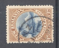 NEW Zealand, A Class Postmark Bulls On Pictorial Stamp - Usados