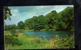 F729 River Taff, Cardiff ( Walles ) Plastichrome, Ed. E. Joyce - Small Size - Otros & Sin Clasificación