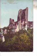 ALLEMAGNE - Ruine Drachenfels - D11 510 - Drachenfels