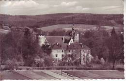 ALLEMAGNE - MICHELSTADT I ODW - SCHLOSS FURSTENAU - D11 190 - Michelstadt