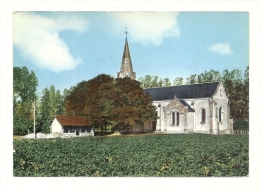 Cp, 86, Buxeuil, L'Eglise - Autres & Non Classés