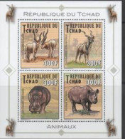 CHAD,2012,FAUNA,WILDLIFE , RHINOS, HIPPOS, ADDAX, SHEETLET - Rhinoceros