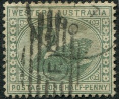 Pays :  47 (Australie Occidentale  : Colonie Britannique)      Yvert Et Tellier N° :  42 (o) - Oblitérés